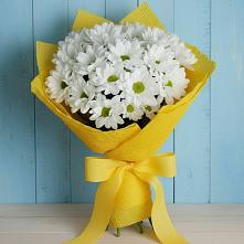 Букет цветов из:  Хризантемы в Зеленогорске Ленинградской области