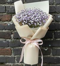 Букет цветов из:  Гипсофила в Зеленогорске Ленинградской области