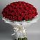 Букет 101 Красная роза Блэк Мэджик в Зеленогорске Ленинградской области
