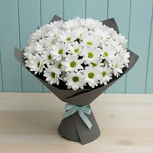 Букет цветов из:  Хризантемы в Зеленогорске Ленинградской области