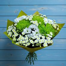Букет цветов из:  Хризантемы в Зеленогорске Ленинградской области