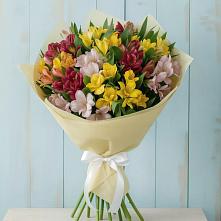 Букет цветов из:  Альстромерии в Зеленогорске Ленинградской области