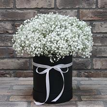Цветочная композиция из Гипсофила в шляпной коробке в Зеленогорске Ленинградской области