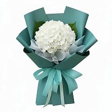 Букет цветов из:  Гортензия в Зеленогорске Ленинградской области